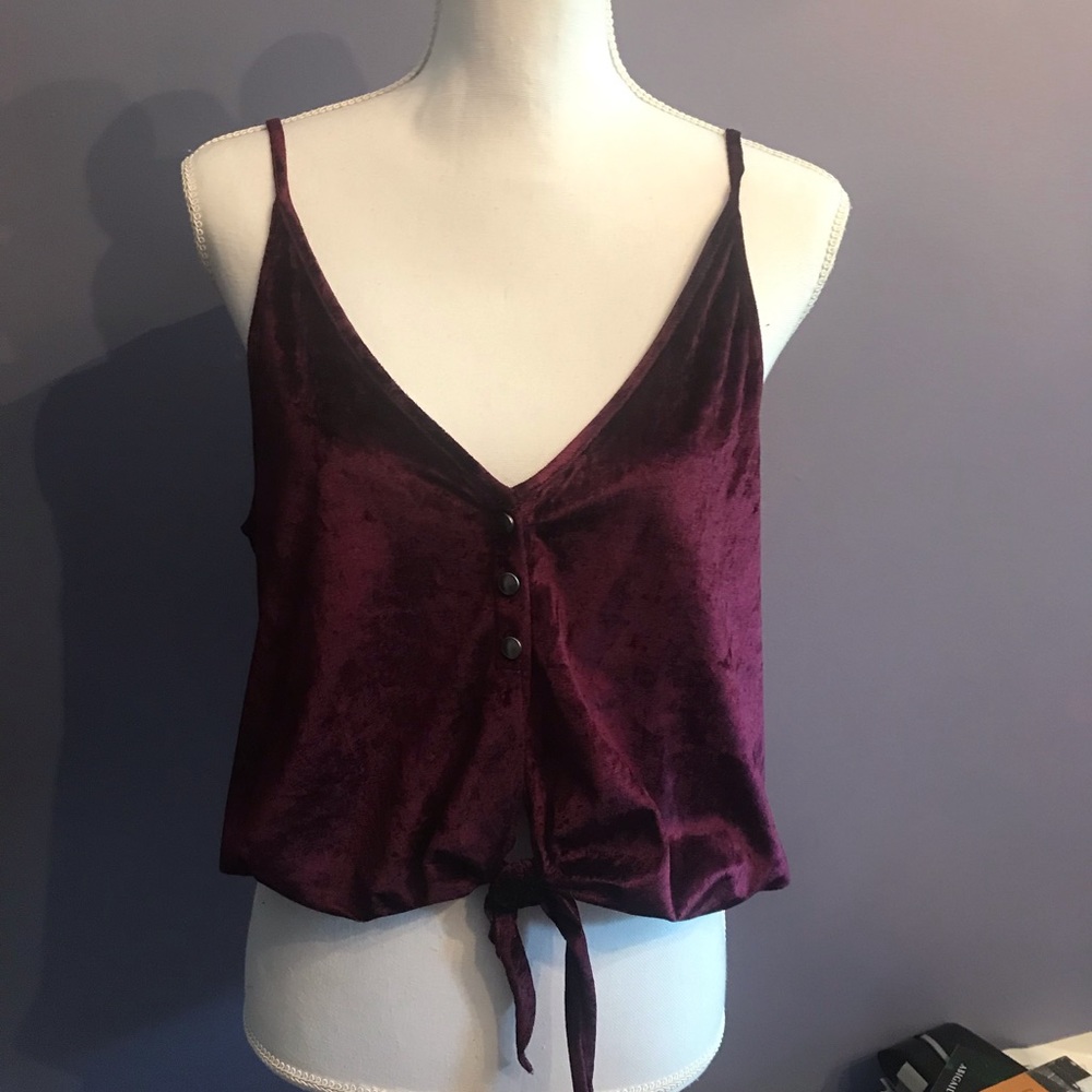 Free People velvet top small